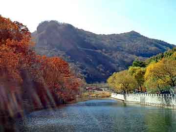 新澳天天开奖资料大全旅游团，金属狂神